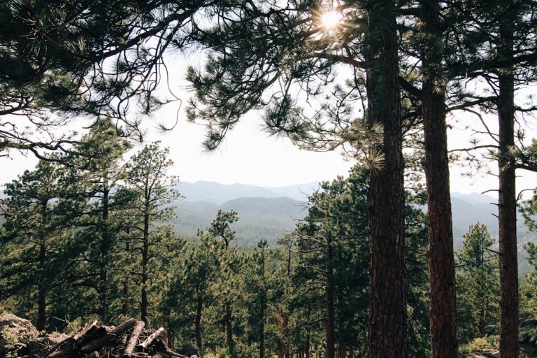 The Thrill of Outdoor Adventure: Embracing the Unknown